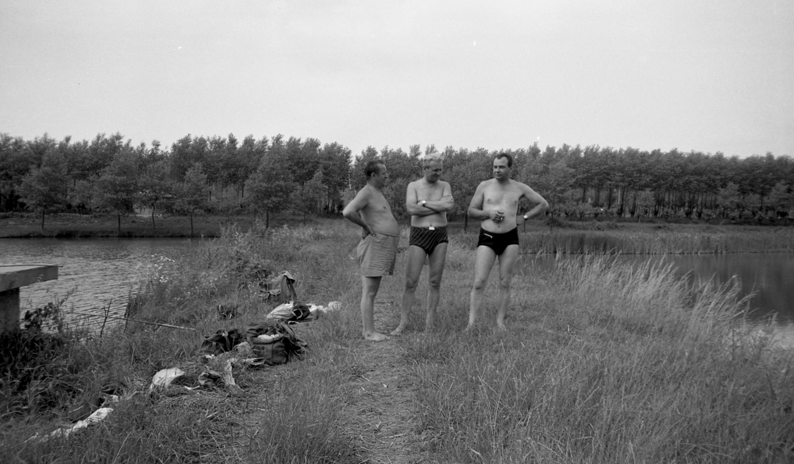 1973, Gulyás Zsuzsa, Fortepan #186427