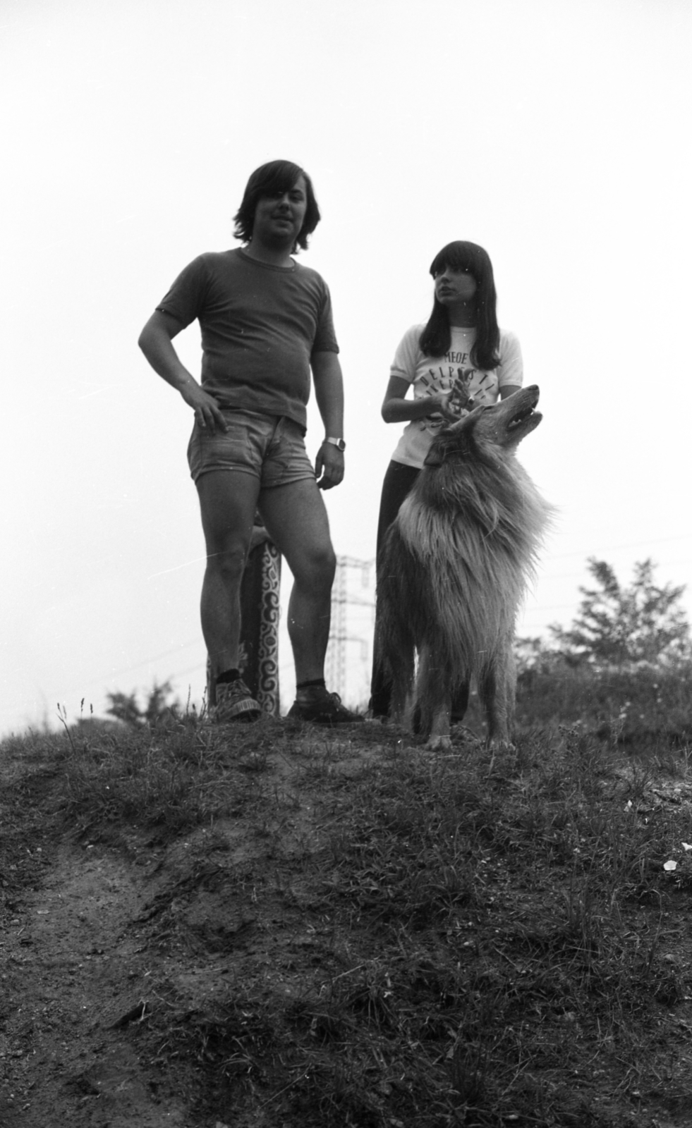 1982, Gulyás Zsuzsa, dog, Fortepan #186465