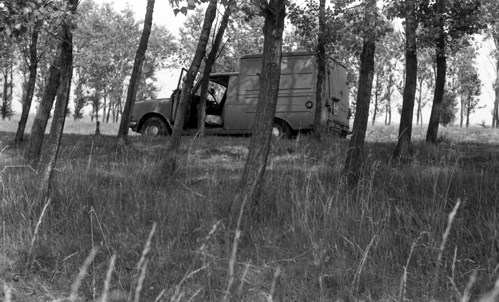 1981, Gulyás Zsuzsa, Izh-brand, Fortepan #186473