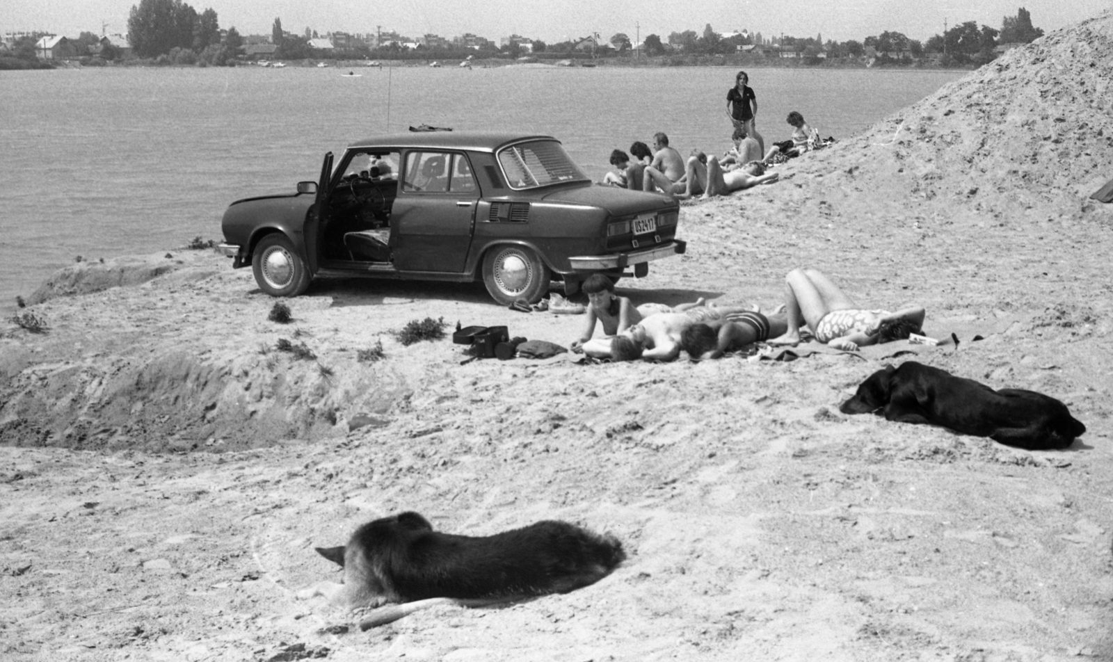 Hungary, Dorog, Palatinus-tó., 1981, Gulyás Zsuzsa, dog, sunbathe, sand mining, Fortepan #186506