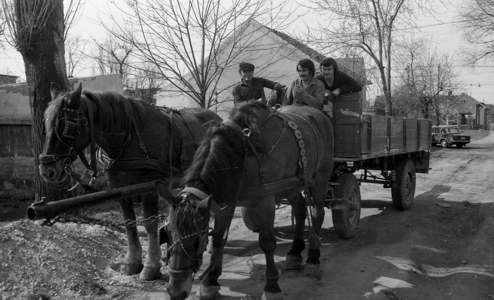 Hungary, Budapest XX., Köztemető utca az Alsó határ út és az Előd utca között., 1981, Gulyás Zsuzsa, Budapest, Horse-drawn carriage, Fortepan #186513