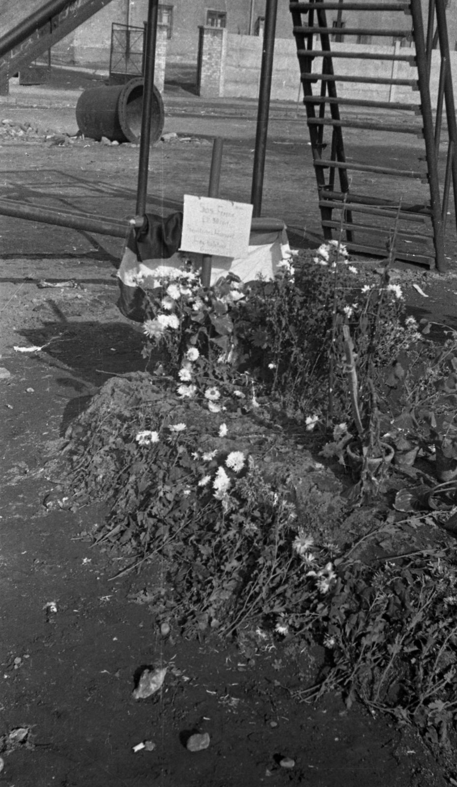 Magyarország, Budapest IX., Illatos út, játszótér a Gubacsi út közeli szükséglakás-telepen. Az 1956-os forradalom alatt elesettek ideiglenes sírjai., 1956, Gulyás Zsuzsa, Budapest, sírhalom, Fortepan #186583