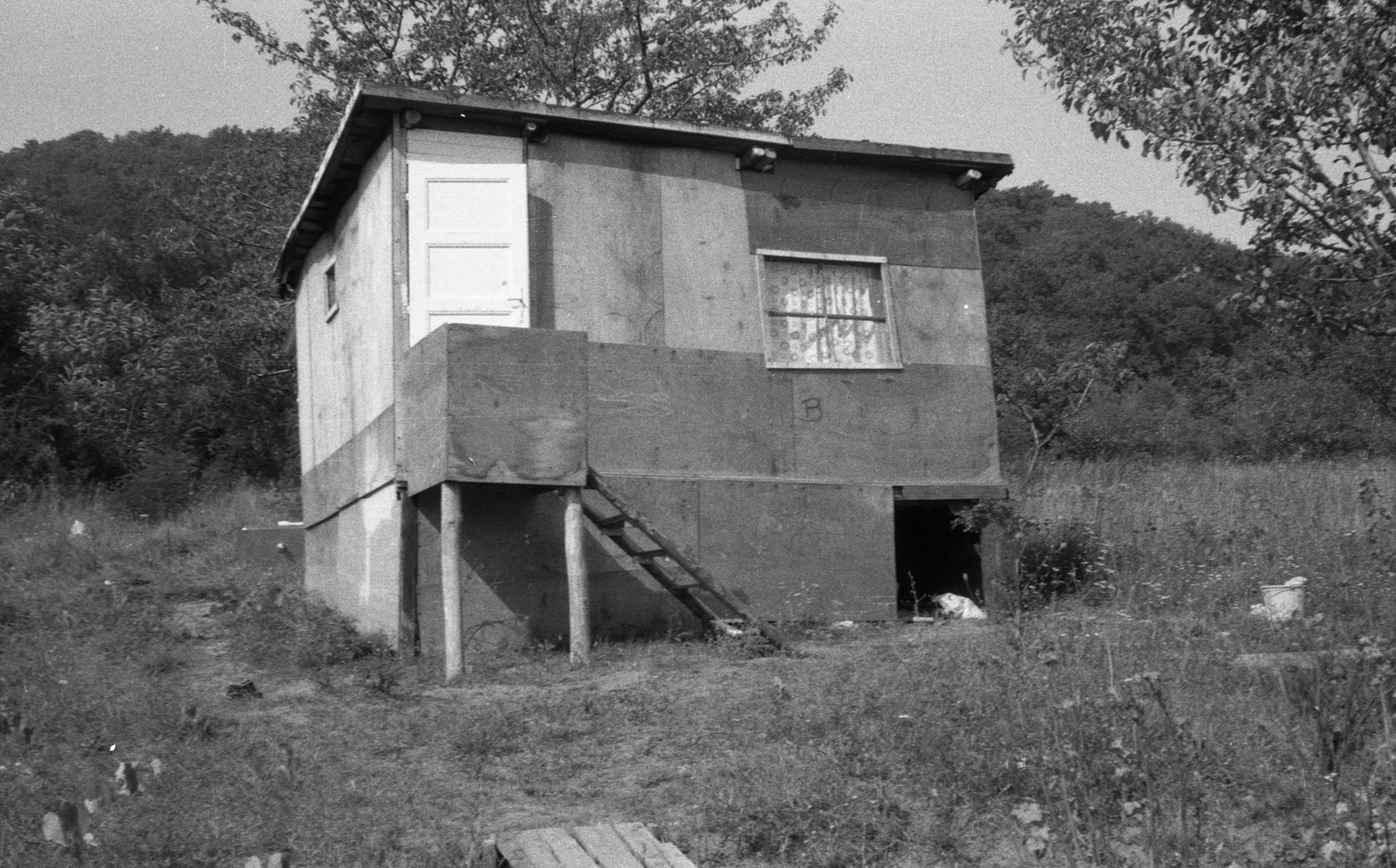 1971, Gulyás Zsuzsa, Fortepan #186656