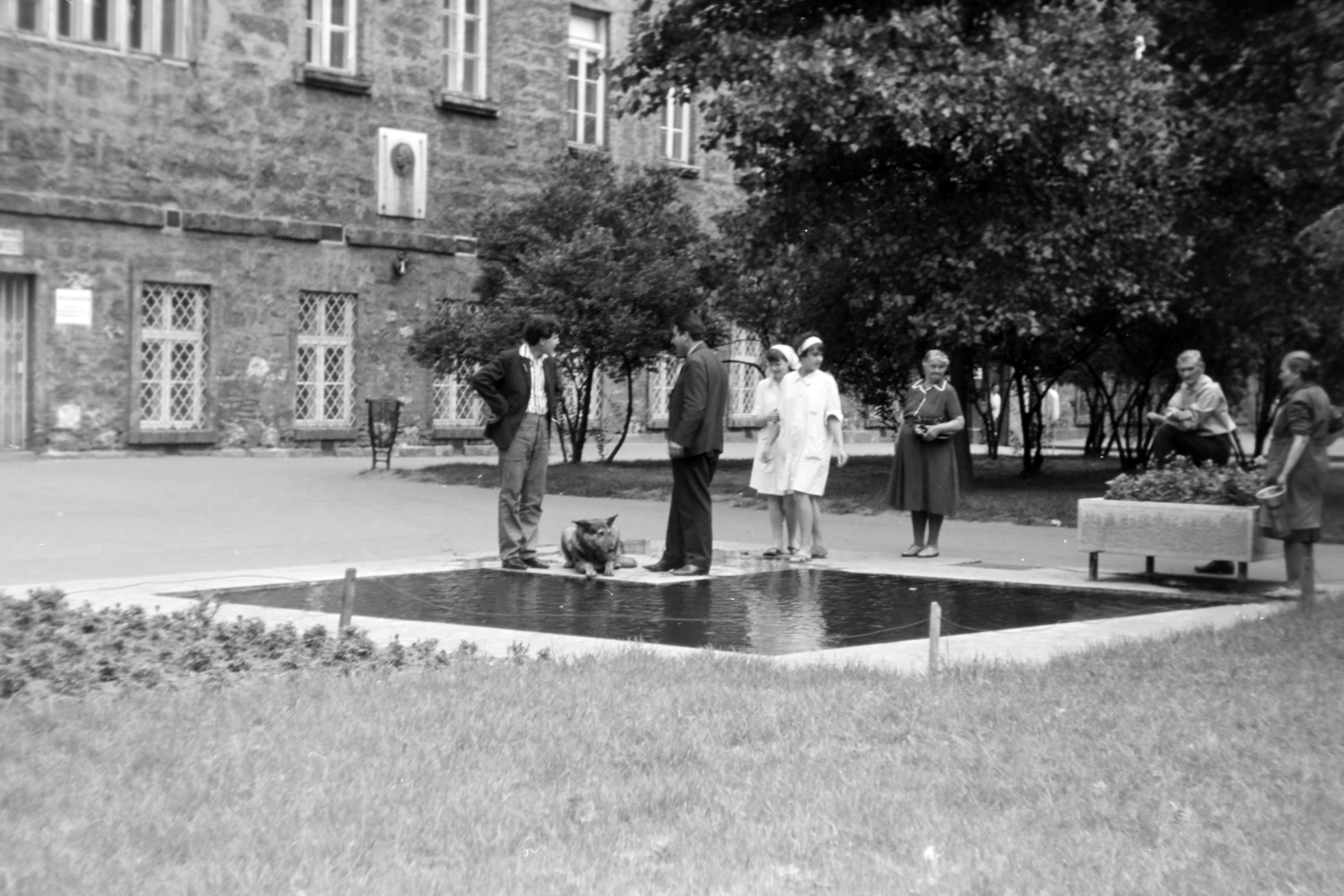 Magyarország, Budapest VIII., Gyulai Pál utca, Rókus kórház. A homlokzaton Semmelweis Ignác domborműves emléktáblája (Reményi József, 1934.)., 1965, Fortepan/Album037, Budapest, kiállítás, Fortepan #186781