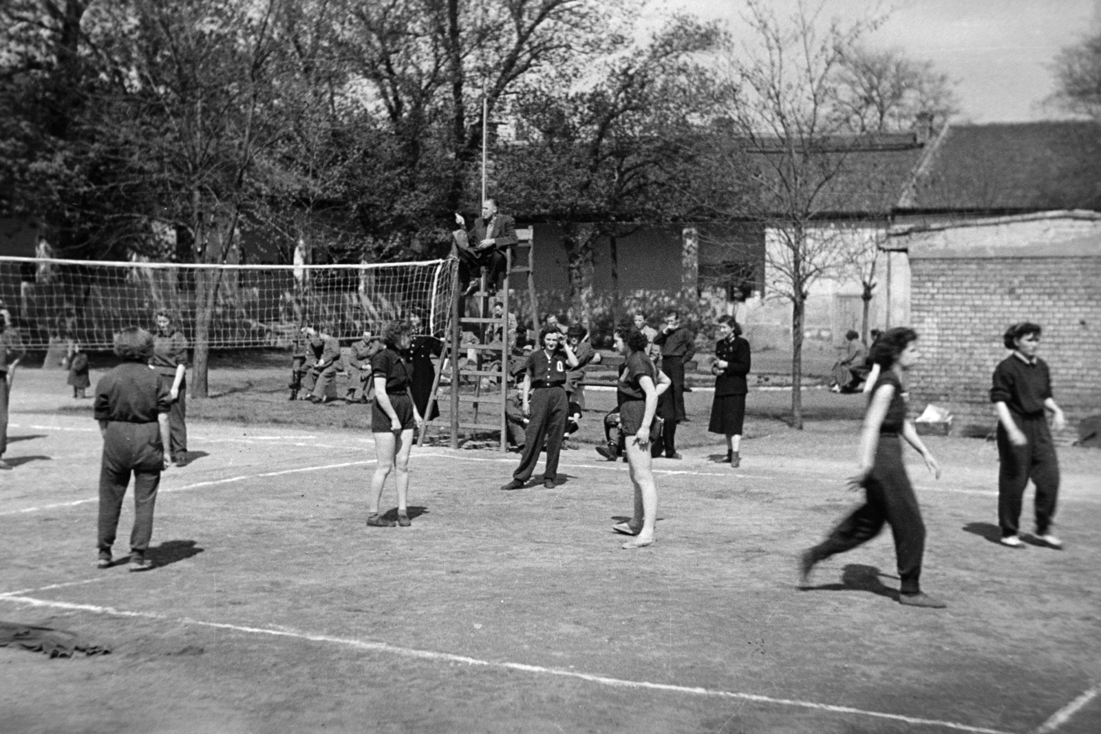 1952, Fortepan/Album038, women, referee, volleyball, Fortepan #186913