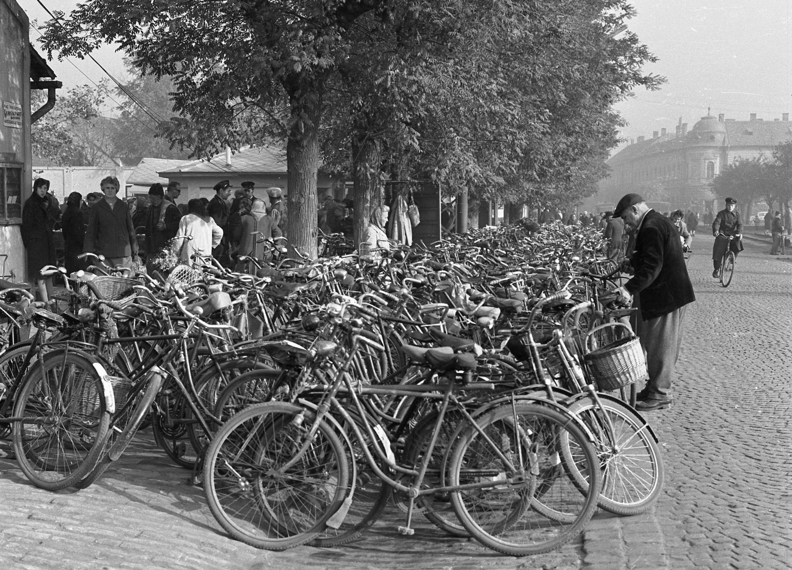 Hungary, Cegléd, Kossuth tér, a háttérben, jobbra a Városháza., 1972, Urbán Tamás, bicycle, market, basket, cobblestones, bicycle holder, Fortepan #18717