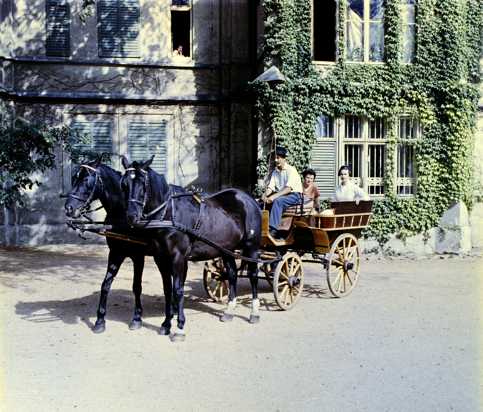 Hungary, Martonvásár, a Brunszvik-kastély parkja., 1960, Fortepan/Album018, colorful, teamster, coach, Fortepan #187398