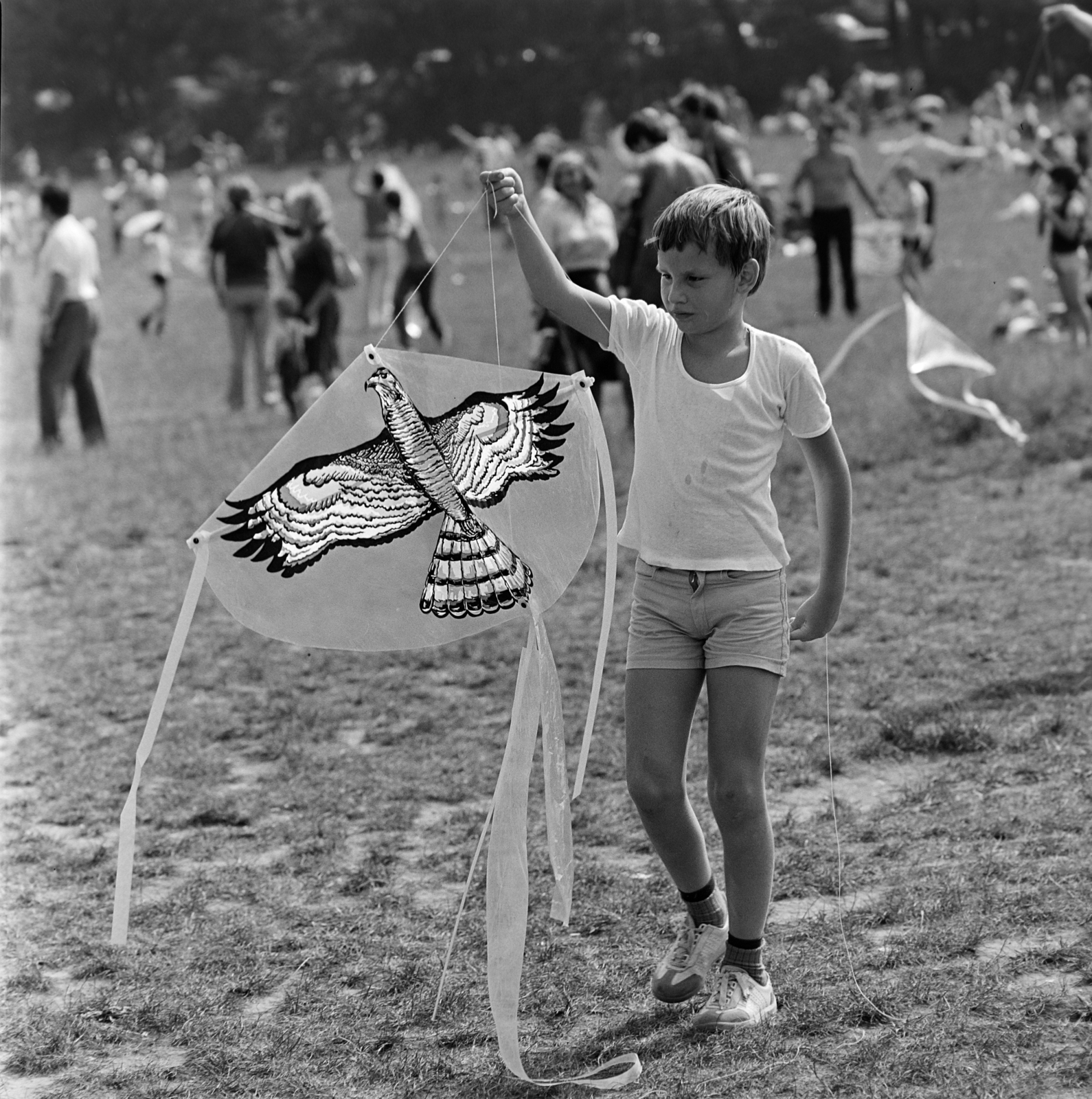 Hungary, Budapest II., Nagyrét, sárkányfesztivál az Úttörőszövetség és a Népművelési Intézet rendezésében., 1983, Szalay Béla, Budapest, Fortepan #187644