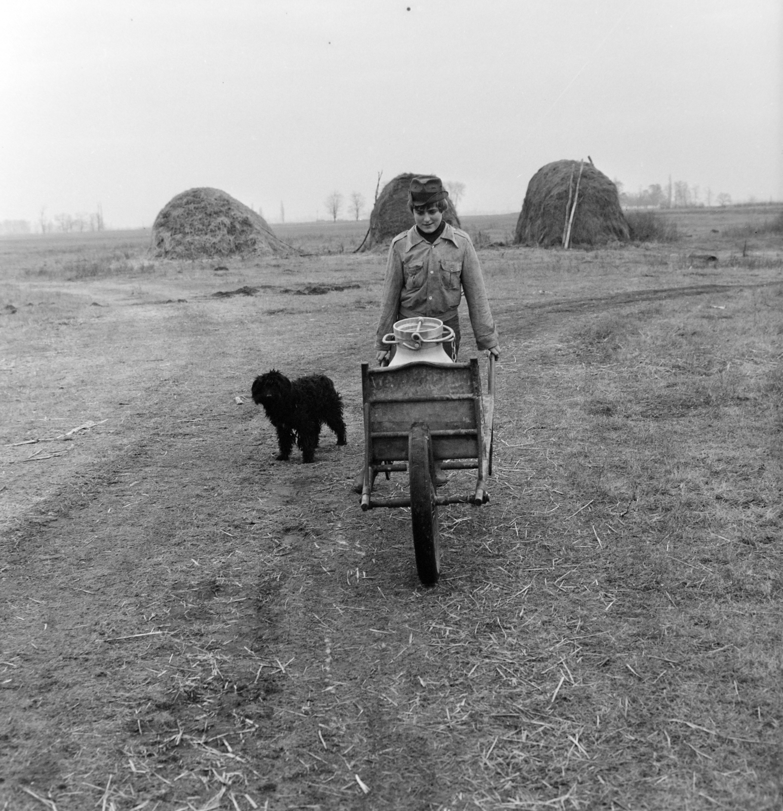 Hungary, Izsák, tanyavilág., 1979, Szalay Béla, dog, Fortepan #187712