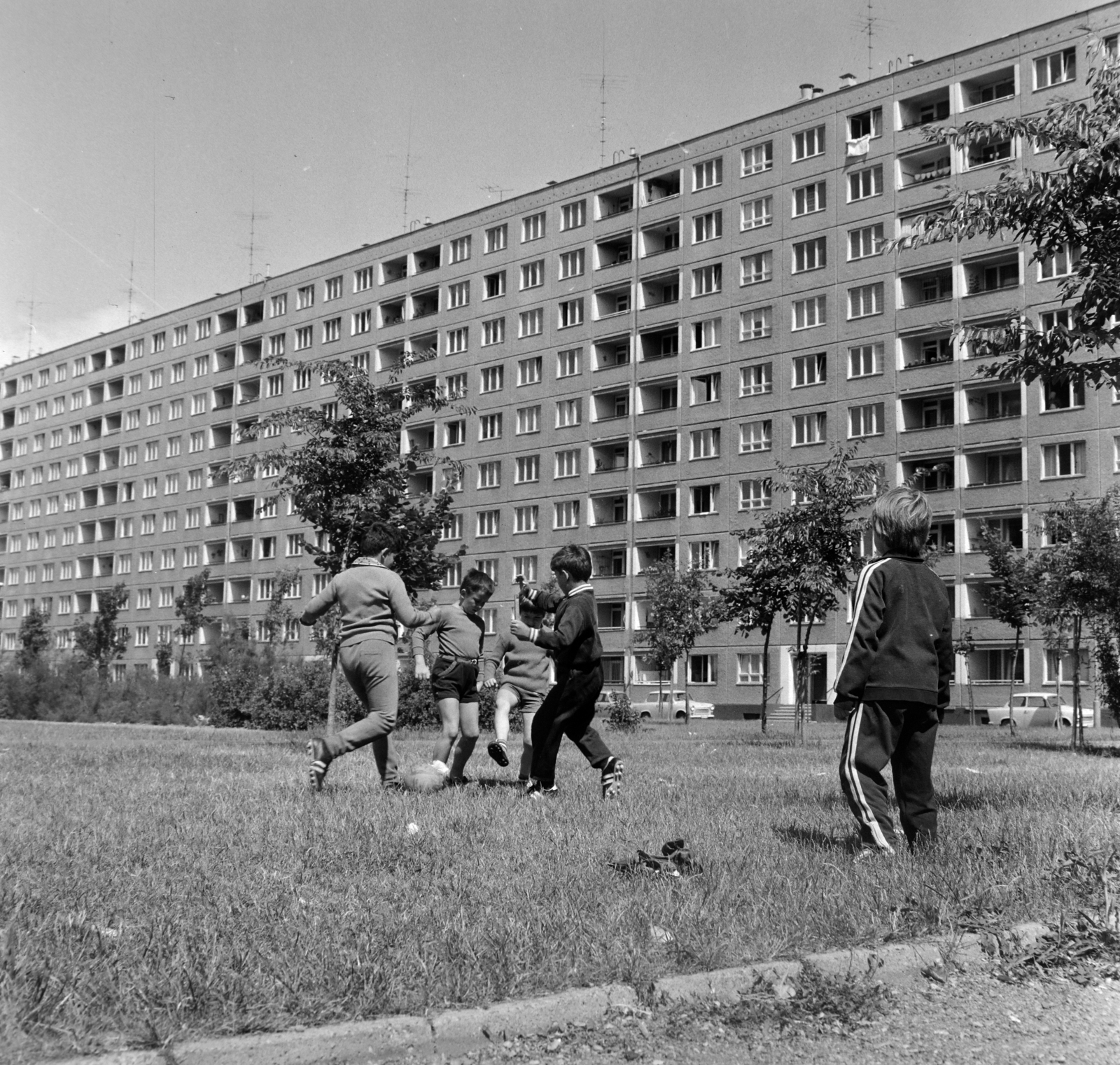 Hungary, Budapest XI., az Etele (Szakasits Árpád) út 60/a-66/b számú sávház hátsó frontja., 1978, Szalay Béla, Budapest, Kelenföld housing complex, Fortepan #187714