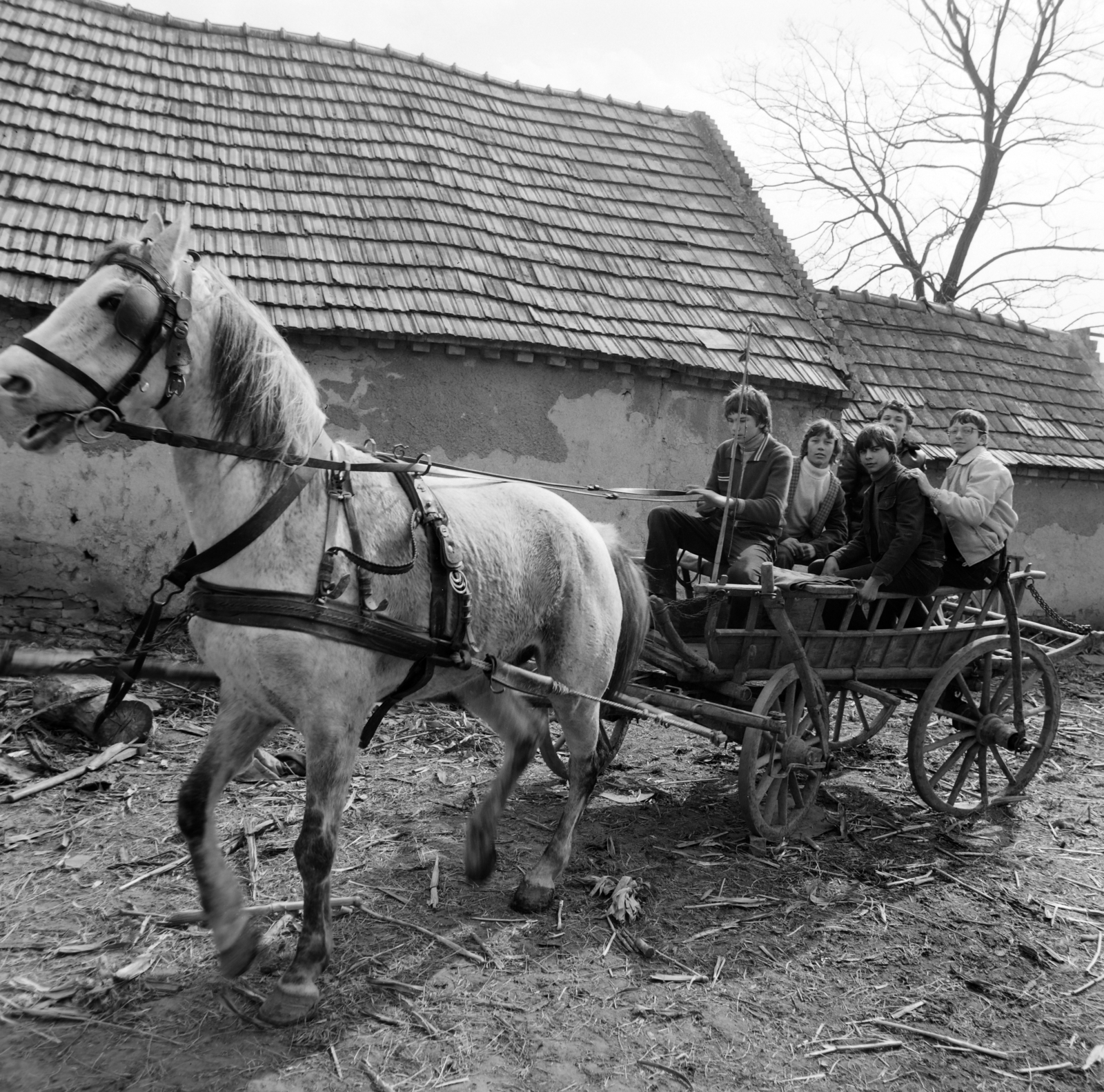Magyarország, Kocs, 1983, Szalay Béla, Fortepan #187820