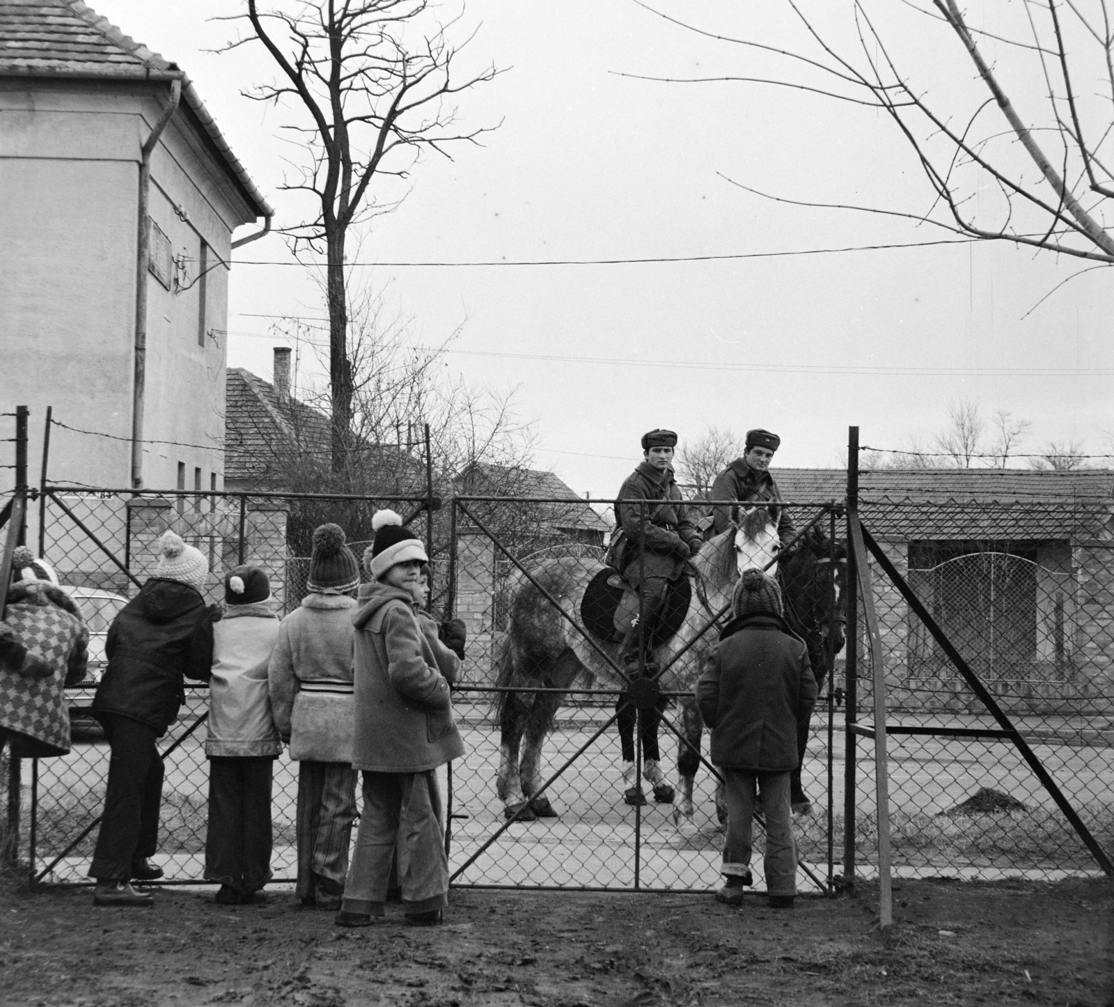 1980, Szalay Béla, Fortepan #187855