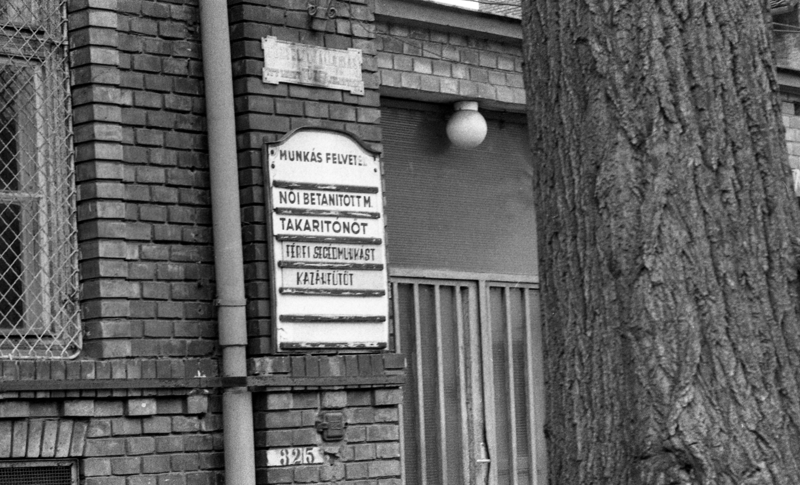 Hungary, Budapest XIII., 1976, Urbán Tamás, Budapest, Vacancies, cleaning lady, Fortepan #18828
