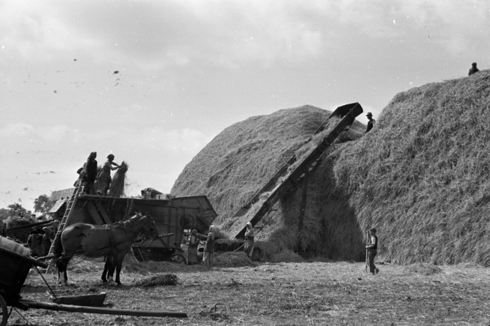 1937, Kenedi János, threshing machine, threshing, Fortepan #188290