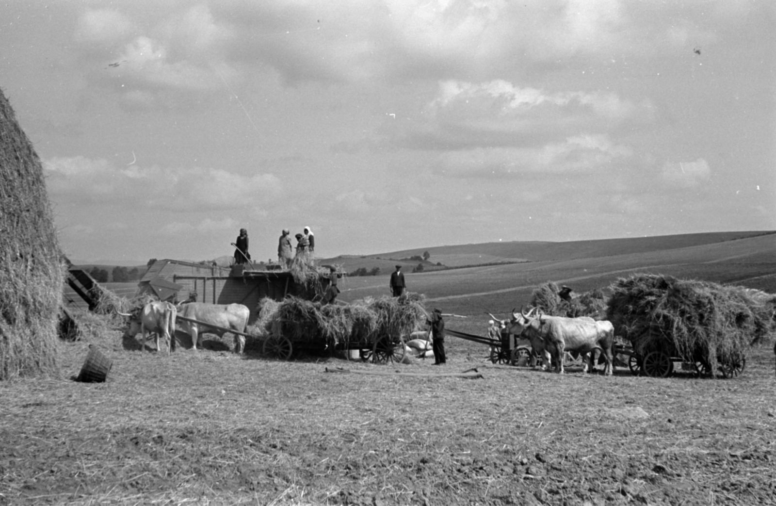 1937, Kenedi János, threshing, Fortepan #188291