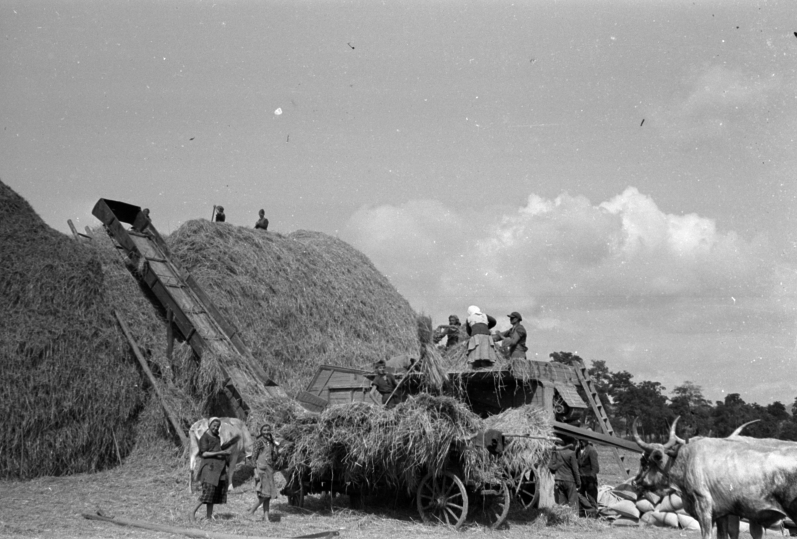 1937, Kenedi János, threshing machine, Fortepan #188292