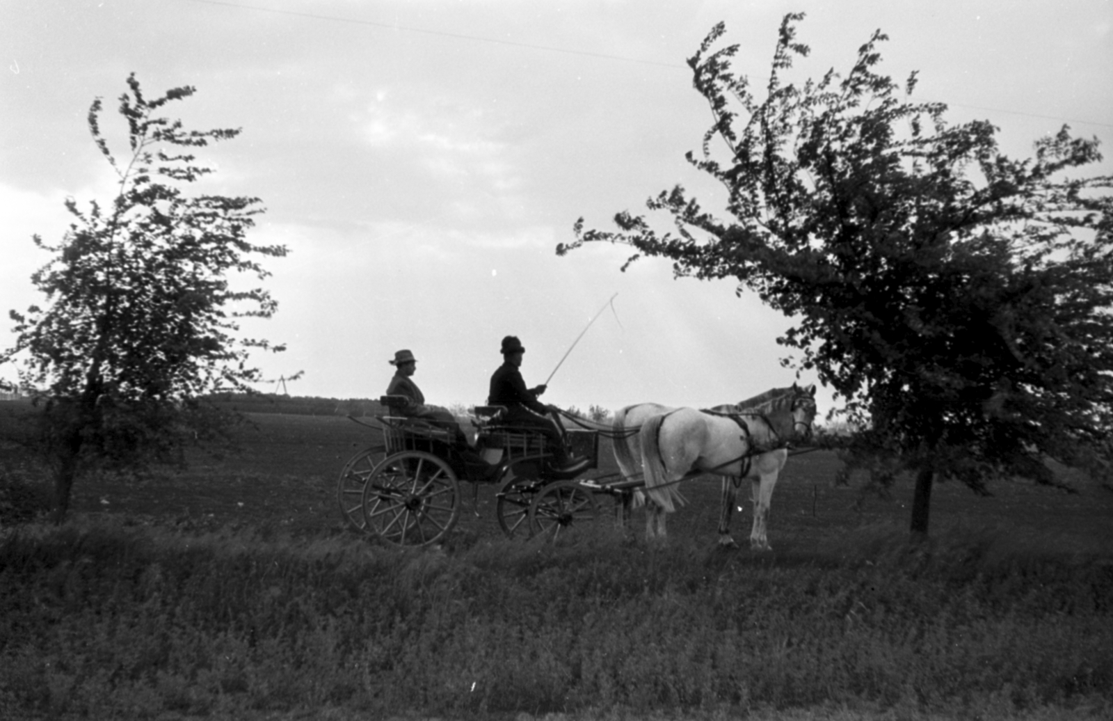 1937, Kenedi János, fogat, Fortepan #188298
