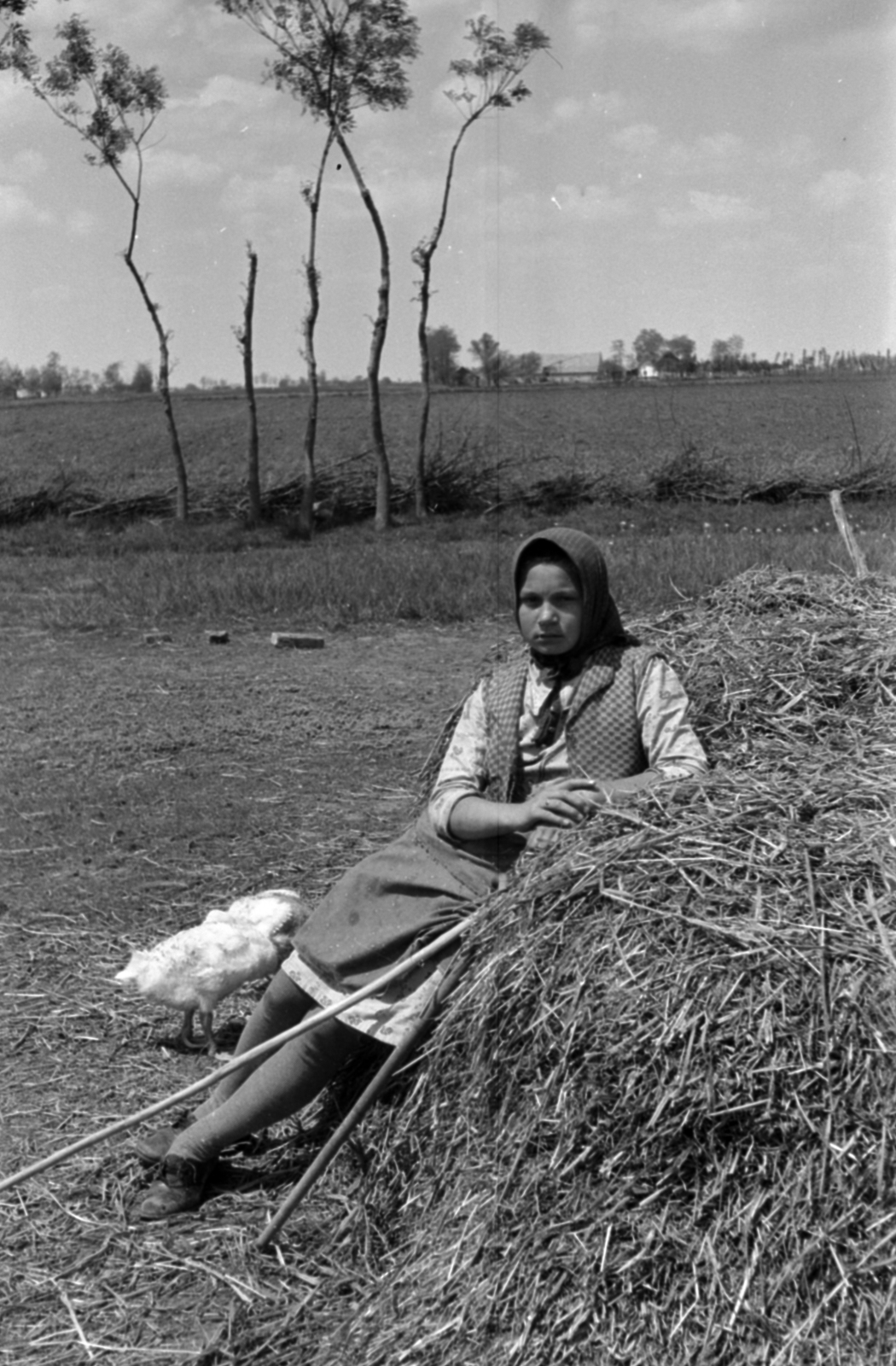 1937, Kenedi János, goose, Fortepan #188302