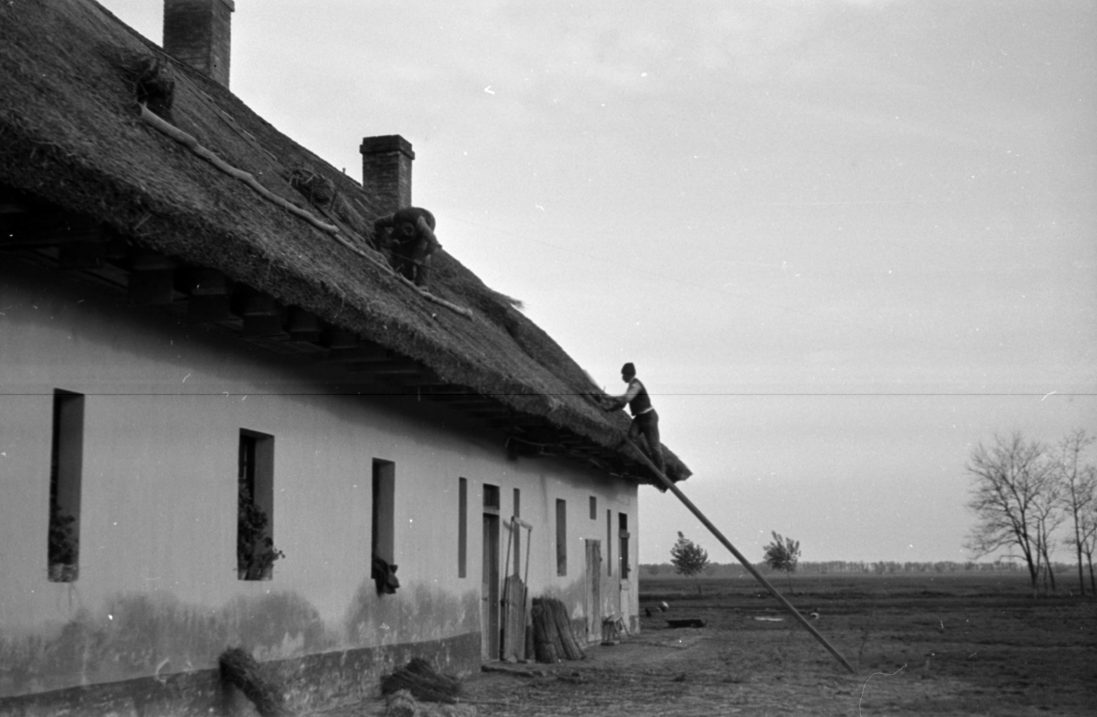 1937, Kenedi János, construction, thatch roof, Fortepan #188303
