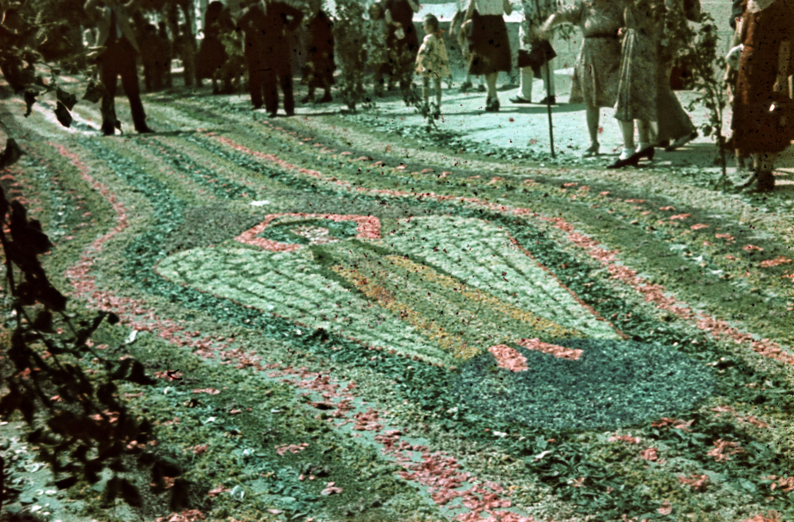 1943, Ladányi Károly, colorful, Fortepan #188396