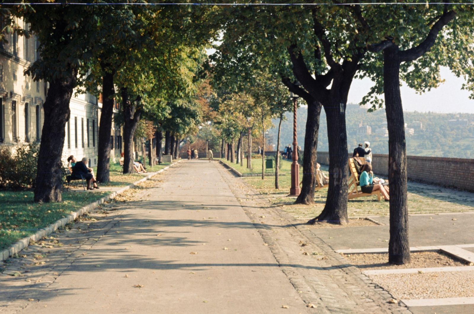 Magyarország, budai Vár, Budapest I., Tóth Árpád sétány., 1969, Fortepan/Album040, Budapest, Fortepan #188426