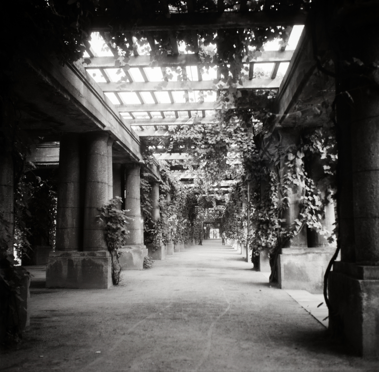 Poland, Wroclaw, a Hala Stulecia (ekkor Jahrhunderthalle, később Hala Ludowa) melletti pergola., 1936, Lőrincze Judit, Fortepan #188560