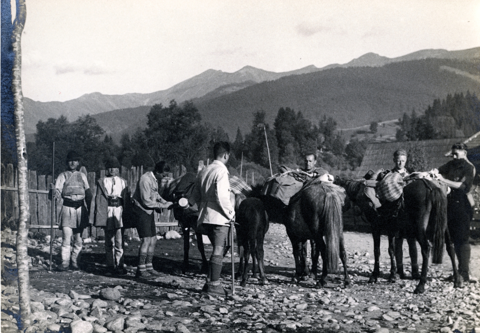 1941, Magyar Földrajzi Múzeum / Miklós Lajos, folk costume, pack animal, men, Fortepan #188907