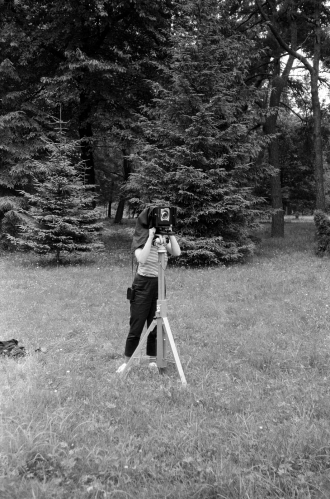 Hungary, Széphalom, Sátoraljaújhely, Kazinczy Ferenc emlékpark., 1980, Fortepan/Album041, Fortepan #188940