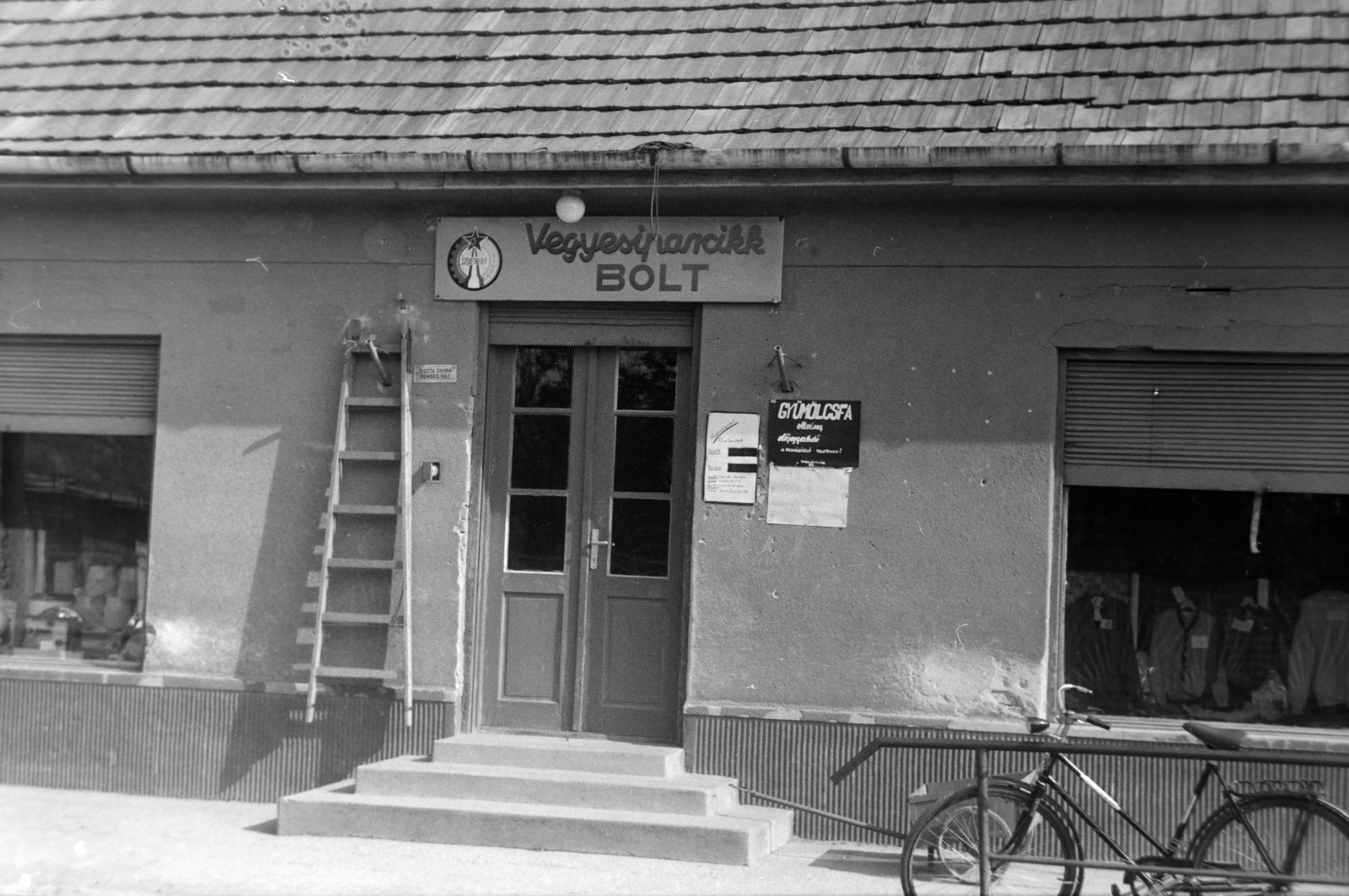 1977, Orosz István, hardware store, bicycle, ladder, Show window, Fortepan #189012