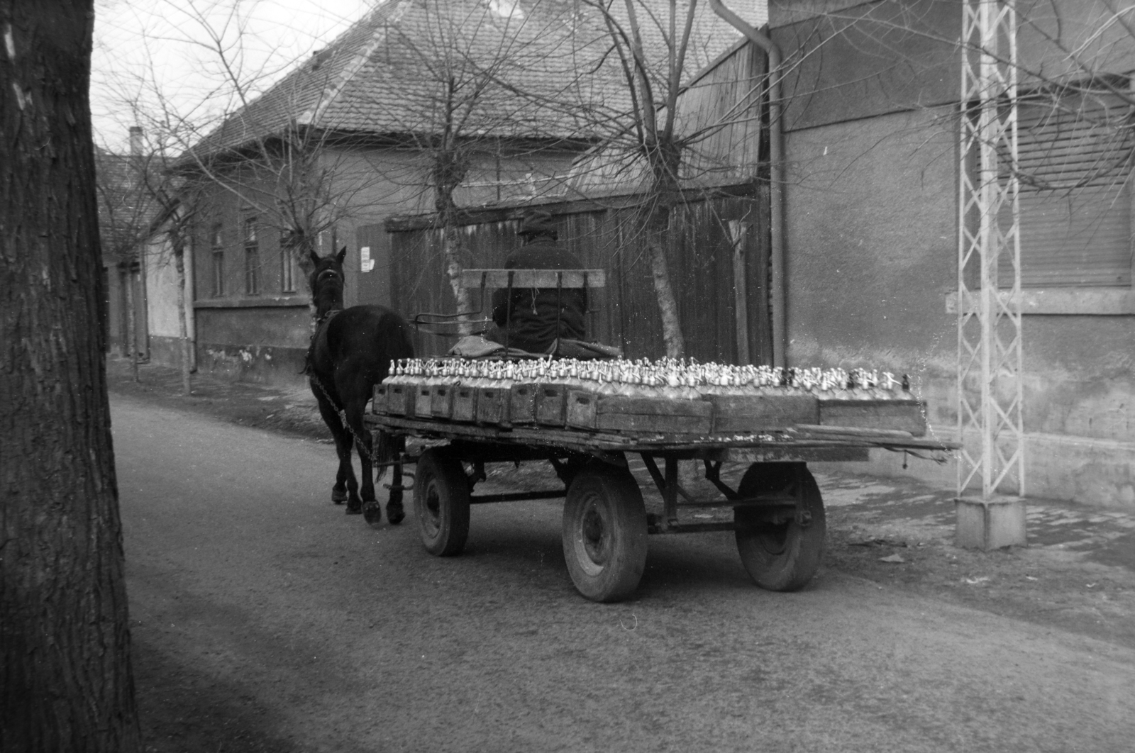 1977, Orosz István, horse, Horse-drawn carriage, Fortepan #189016