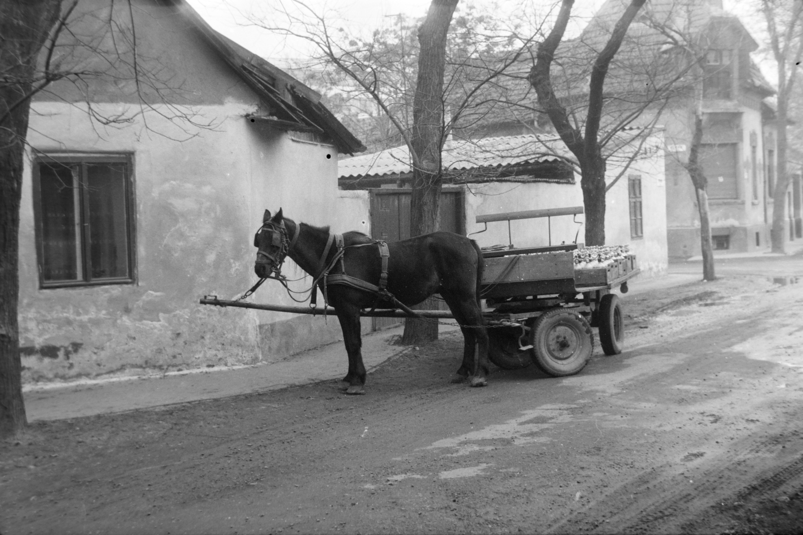 1982, Orosz István, ló, lovaskocsi, szódás, Best of, Fortepan #189063