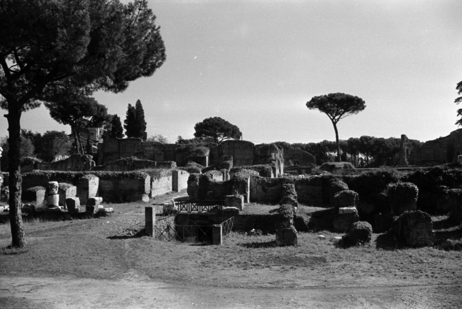 Italy, Rome, Forum Romanum., 1960, Palkó Zsolt, ancient culture, ruins, monument, Roman Empire, Fortepan #189137