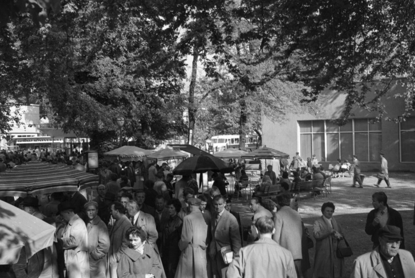 Hungary, Budapest XIV., 1965, Ungvári György, Budapest, Fortepan #189306