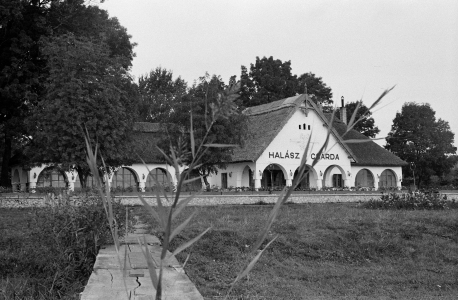 Hungary,Lake Balaton, Keszthely, Halászcsárda., 1958, Tölg Anna, thatched roof, restaurant, Fortepan #189372