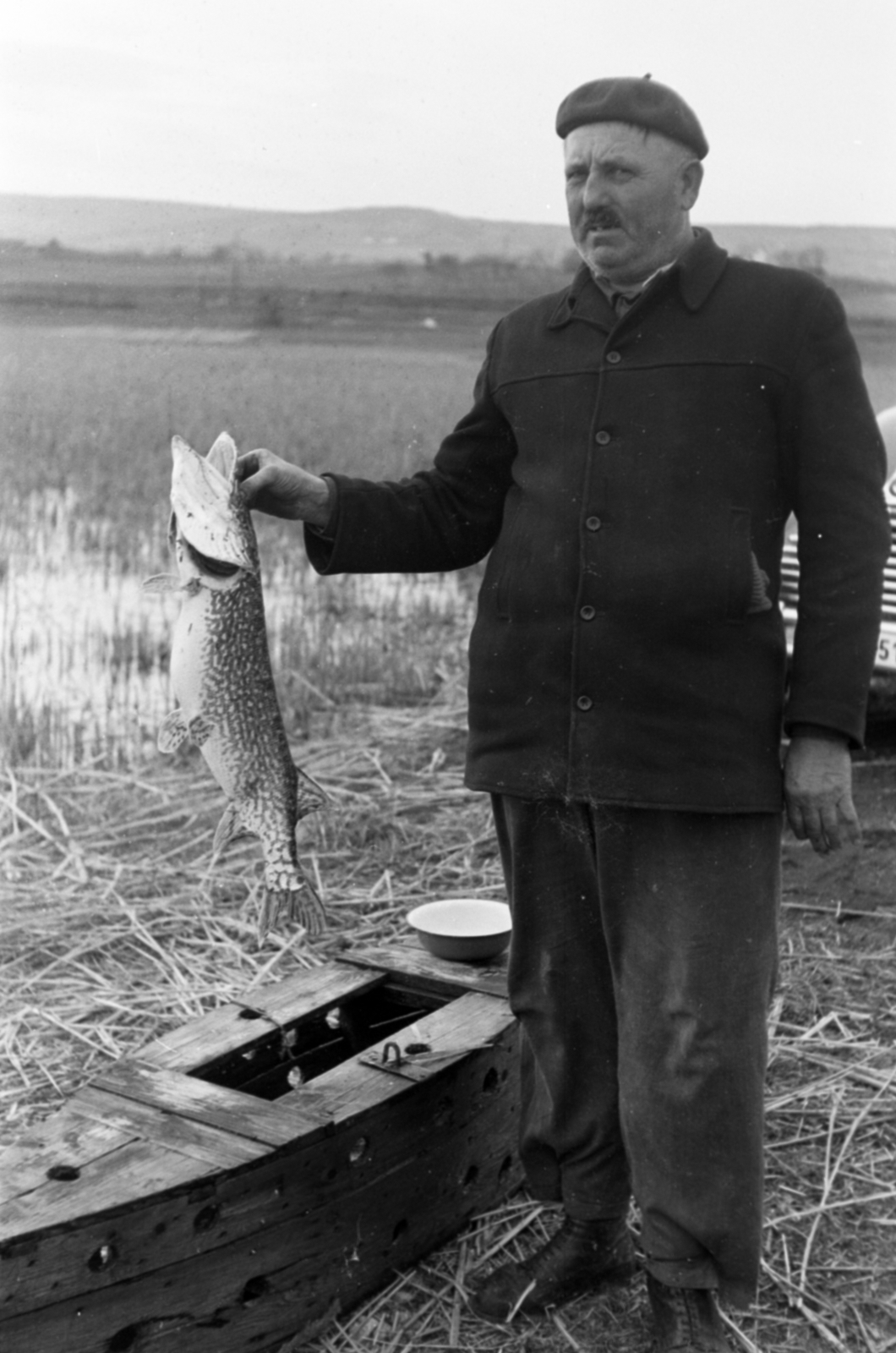 Hungary,Lake Velence, Dinnyés, 1958, Tölg Anna, fish, Fortepan #189405