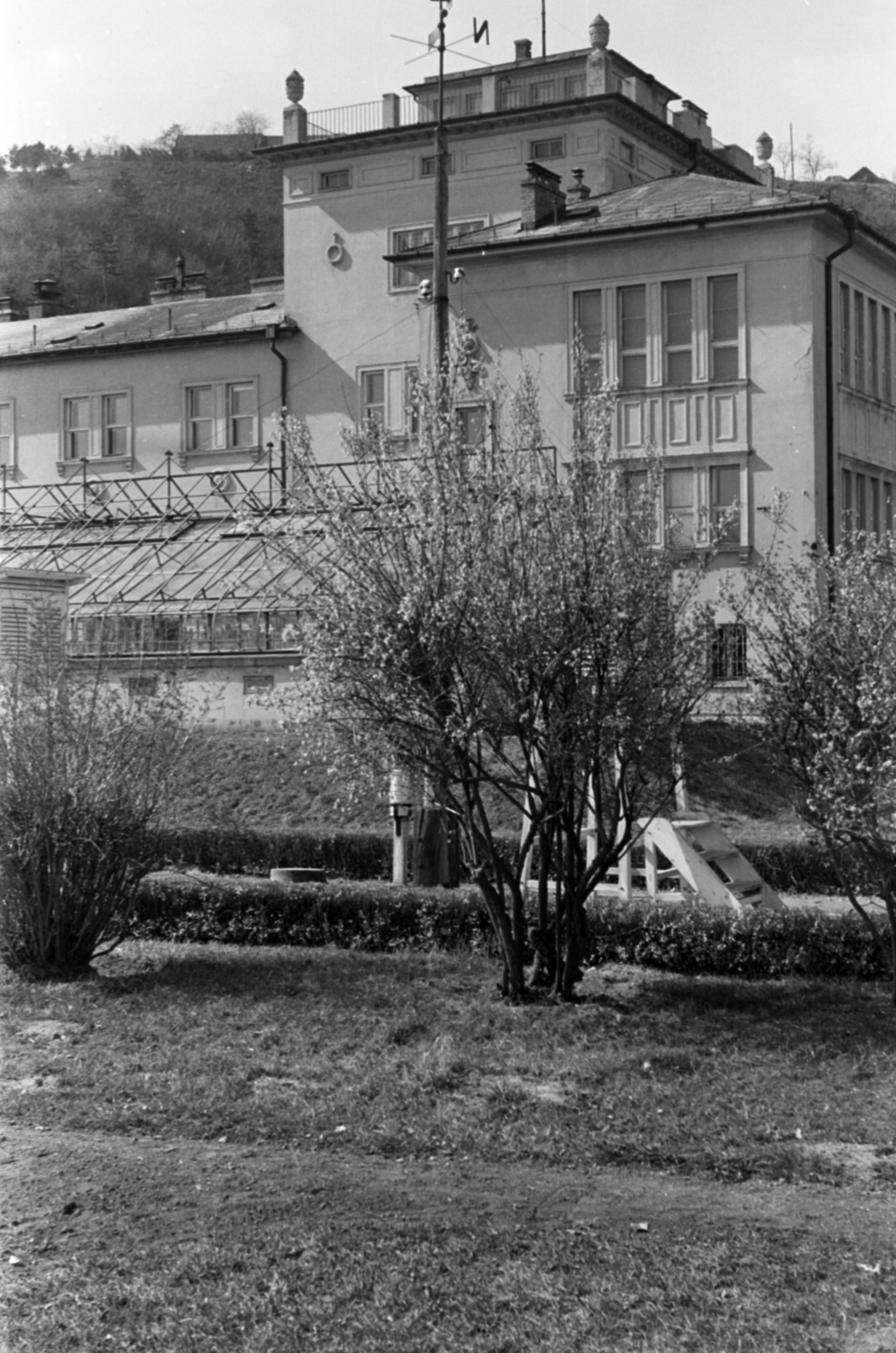 Hungary,Lake Balaton, Tihany, a Magyar Tudományos Akadémia Biológiai Kutatóintézete (később Ökológiai Kutatóközpont Balatoni Limnológiai Intézet)., 1958, Tölg Anna, public building, Fortepan #189408