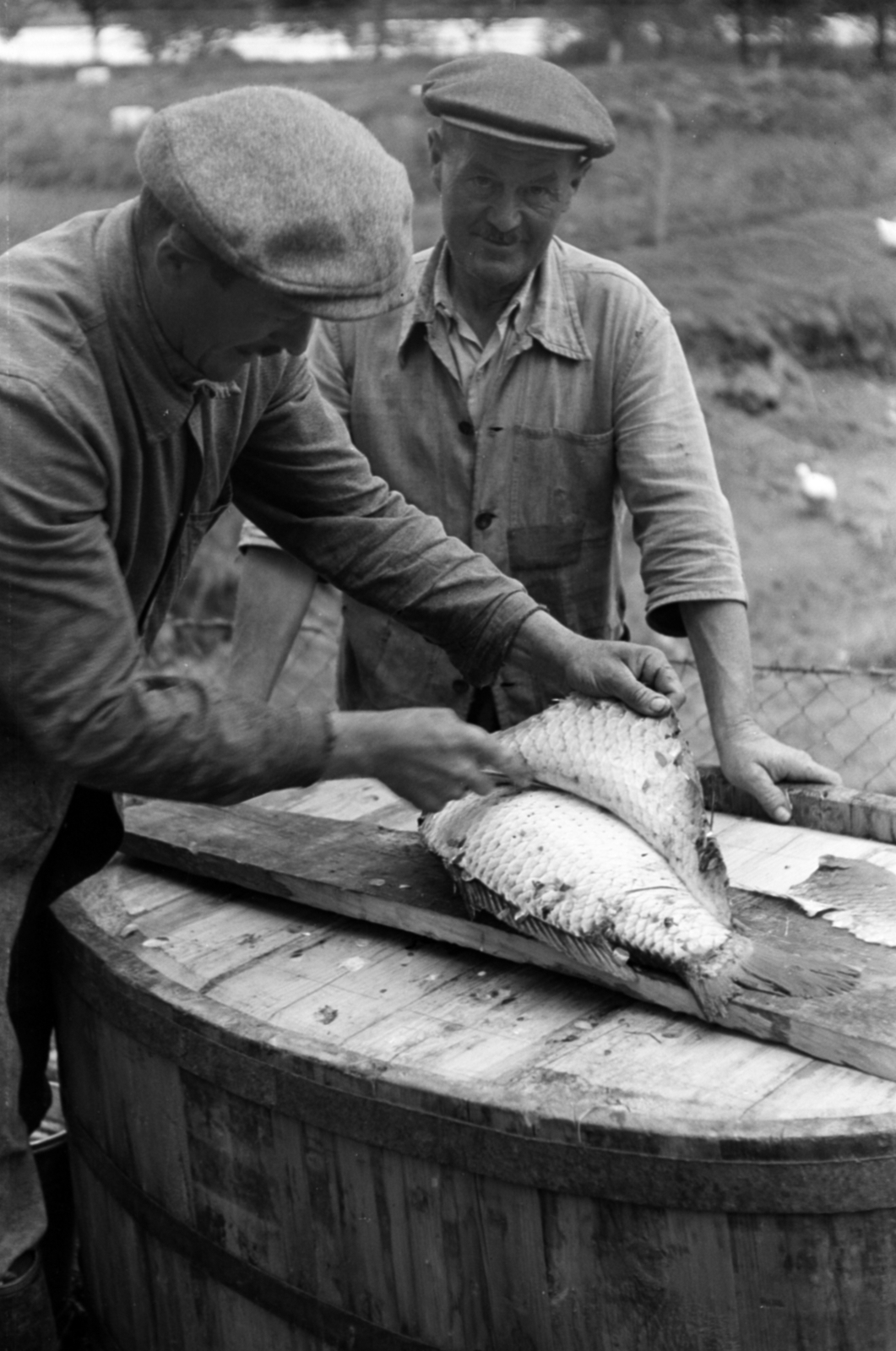 1958, Tölg Anna, fish, Fortepan #189415