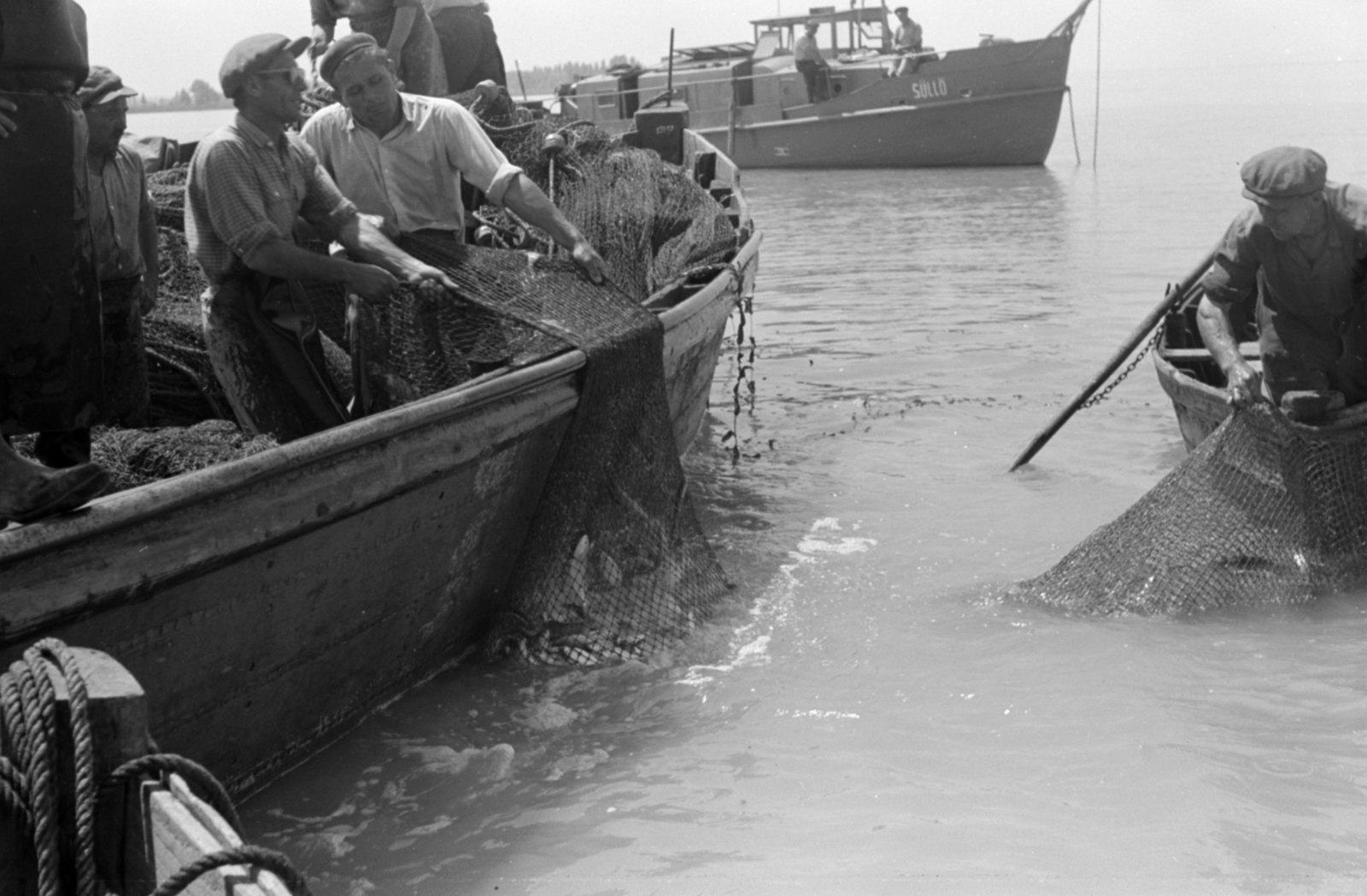 1958, Tölg Anna, fishing, fishing net, Fortepan #189420