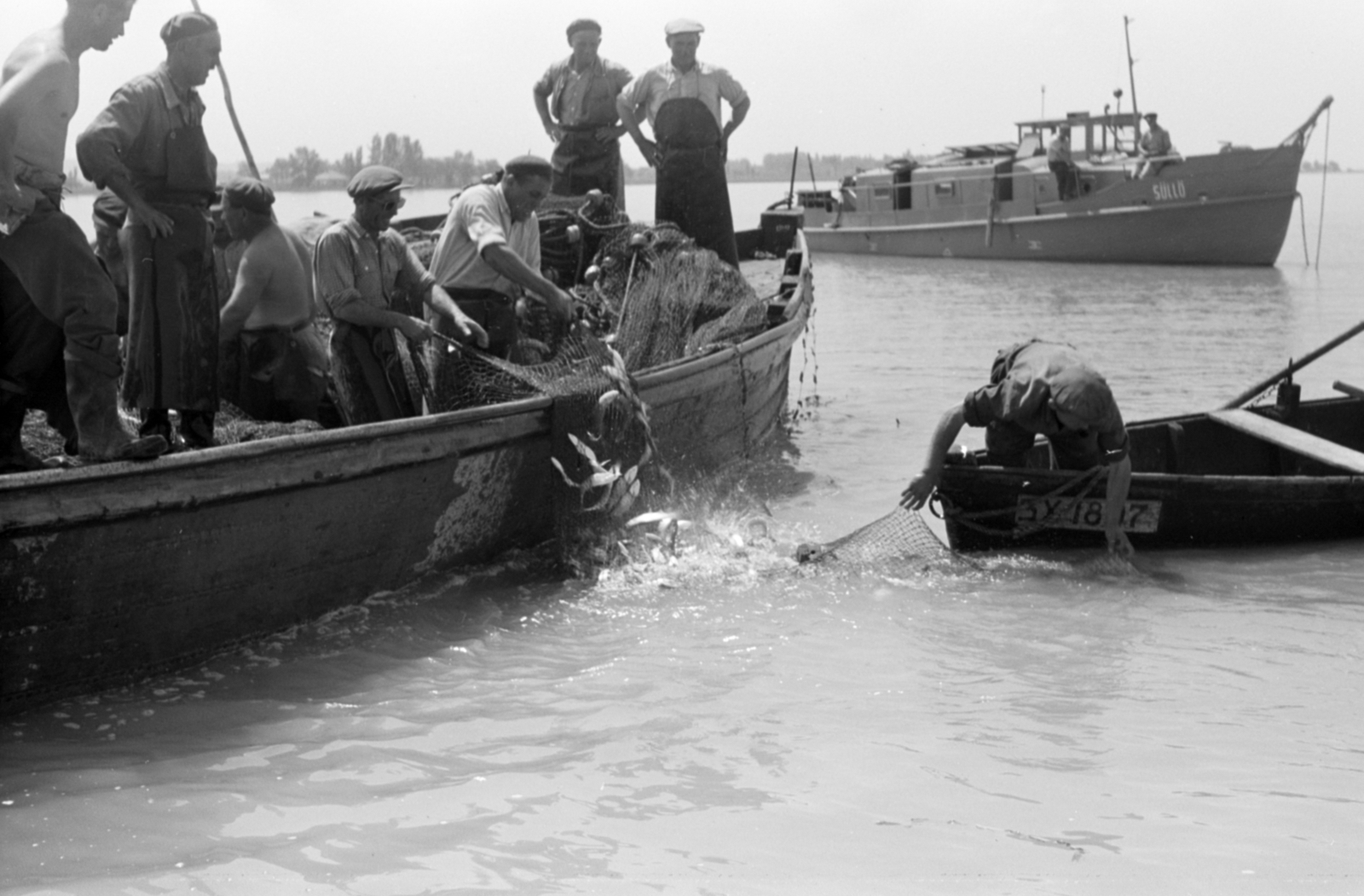 1958, Tölg Anna, halászat, Fortepan #189421