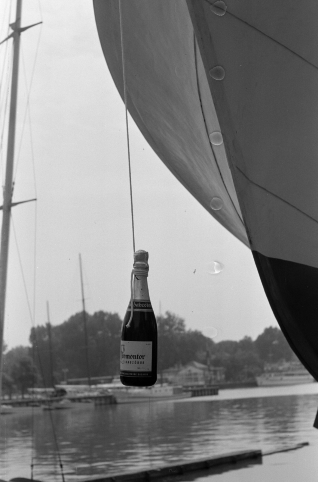 Hungary,Lake Balaton, Siófok, a Magyar Tudományos Akadémia Biológiai Kutatóintézete (később Ökológiai Kutatóközpont Balatoni Limnológiai Intézet) Lóczy Lajosról elnevezett kutatóhajójának vízrebocsátásakor készült a felvétel., 1959, Tölg Anna, dangling, champagne, Fortepan #189442
