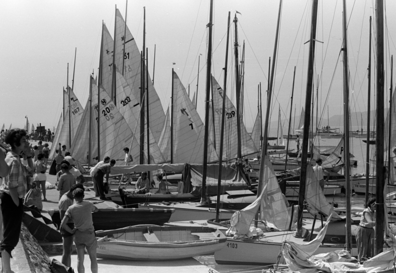 Hungary, Balatonfüred, vitorláskikötő., 1959, Tölg Anna, sailboat, assembly, yacht racing, Fortepan #189443
