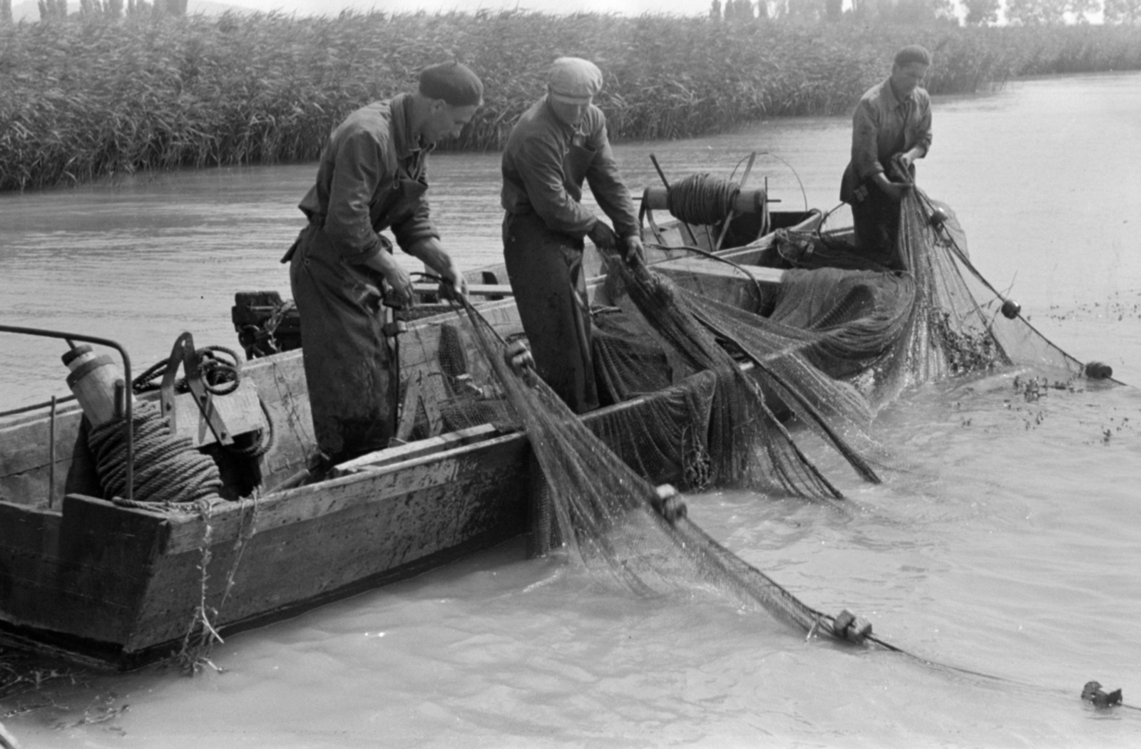 1959, Tölg Anna, fishing, Fortepan #189456
