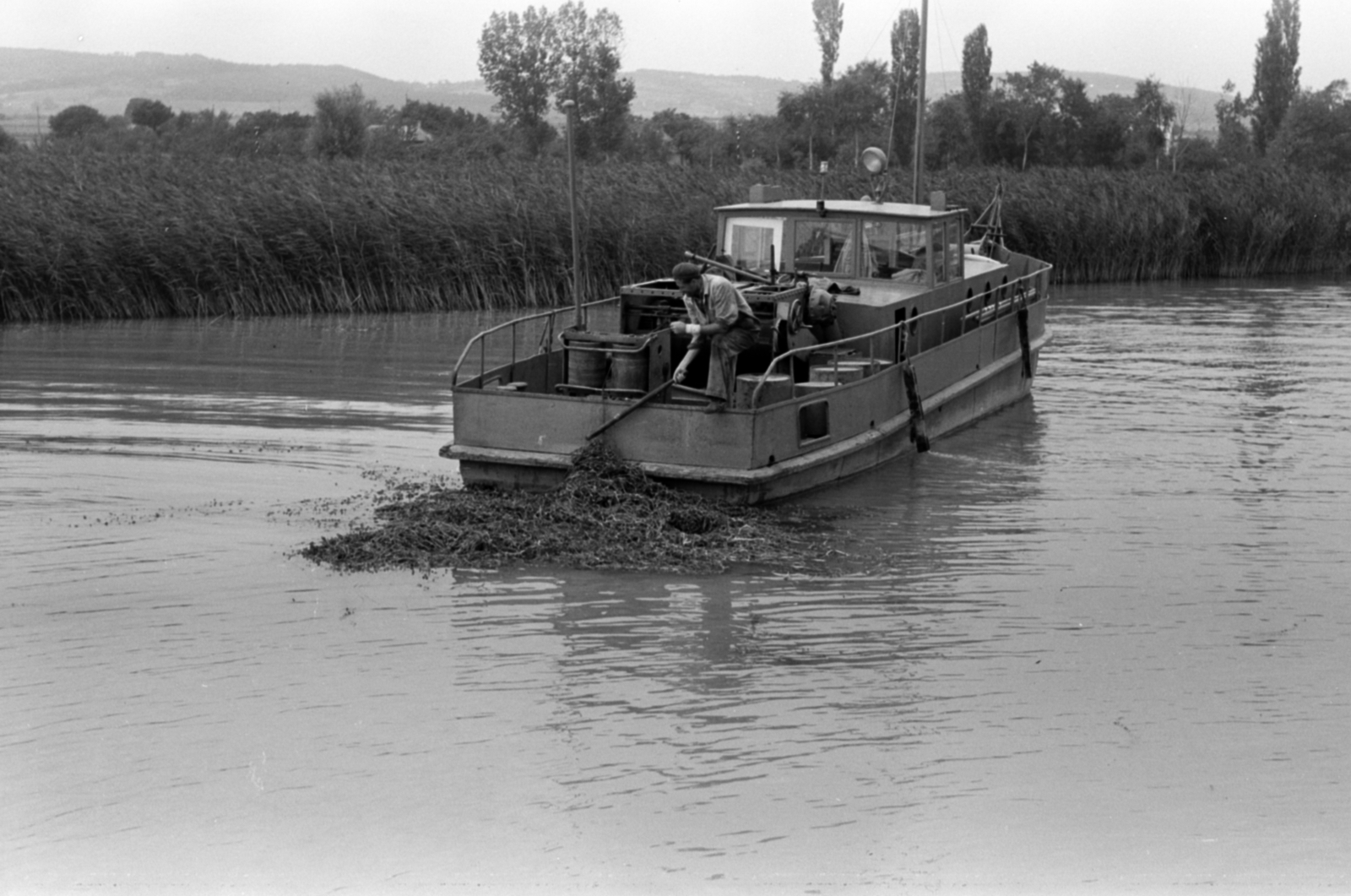1959, Tölg Anna, reed, ship, Fortepan #189486