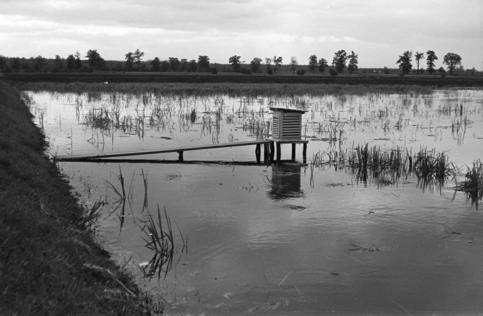 1959, Tölg Anna, plank, shore, Fortepan #189496
