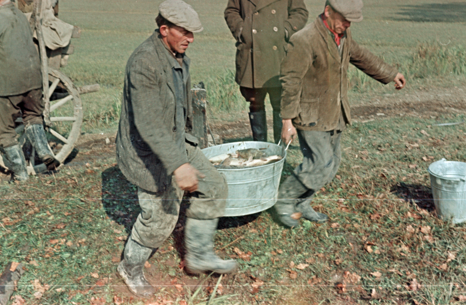 1959, Tölg Anna, colorful, fishing, Fortepan #189505