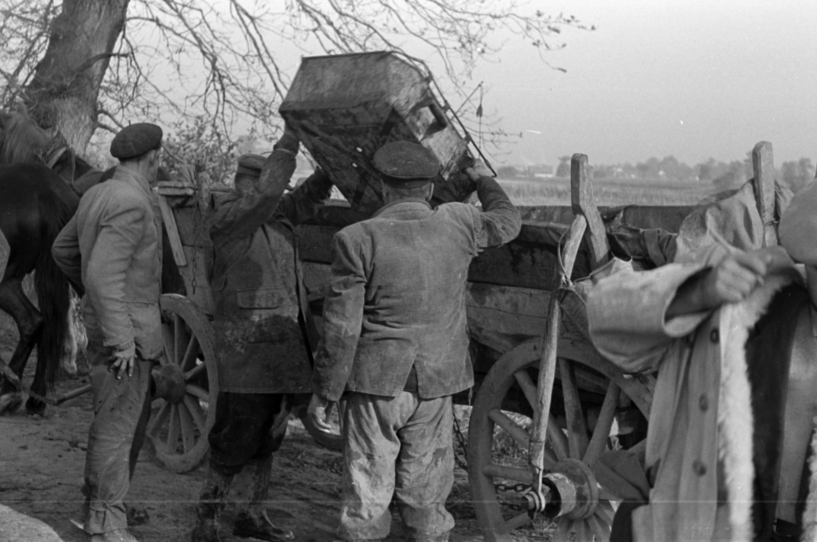 Poland, 1961, Tölg Anna, Fortepan #189528