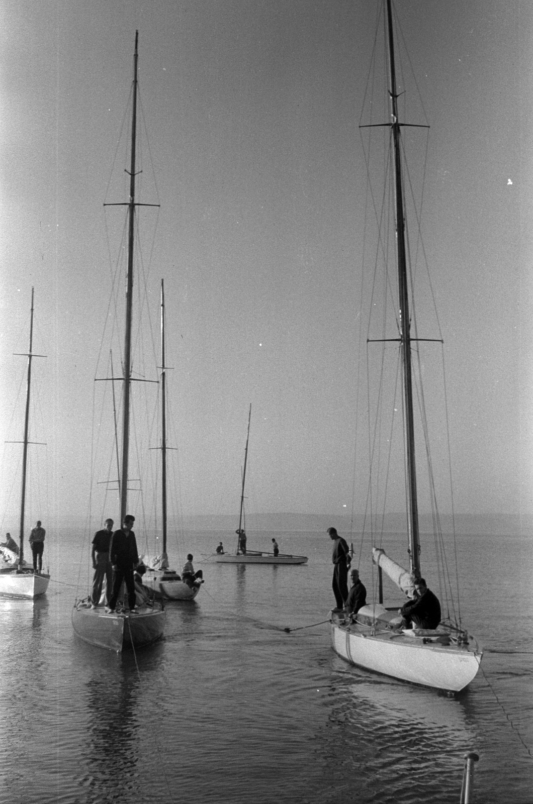 1960, Tölg Anna, mast, Fortepan #189541