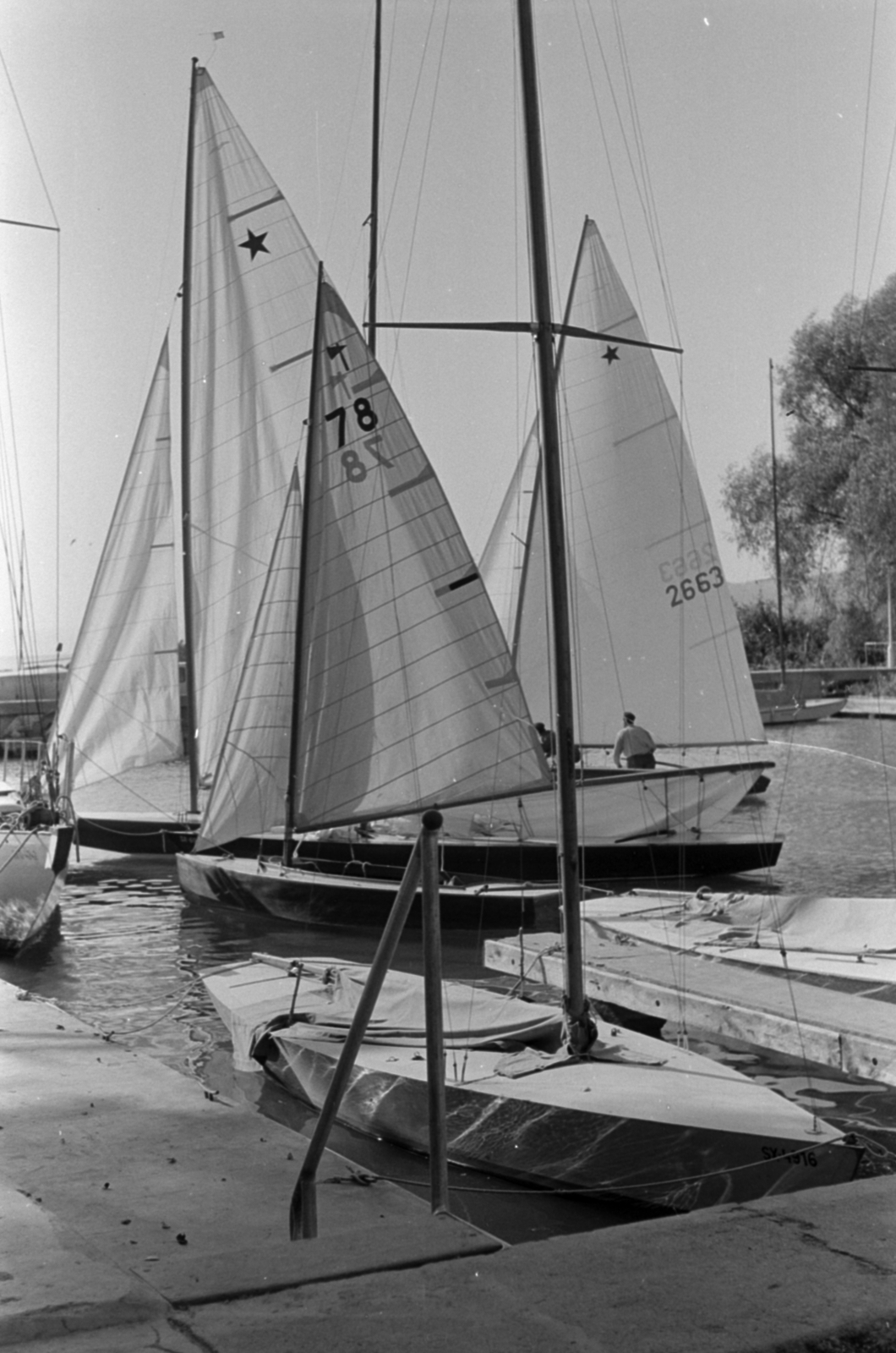 1960, Tölg Anna, sailboat, Fortepan #189562