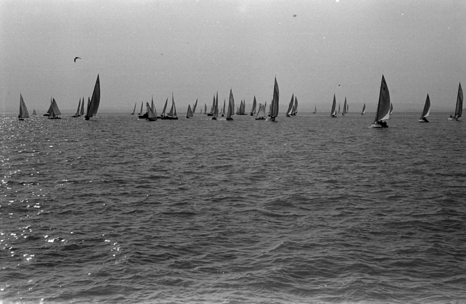 1960, Tölg Anna, sailboat, wave, Fortepan #189563