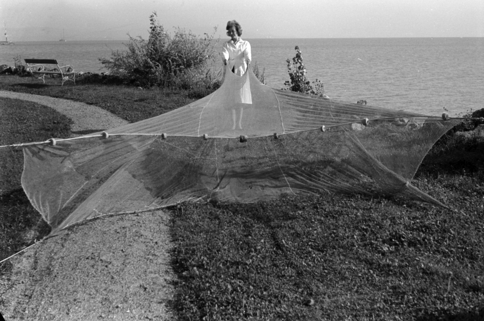 Hungary,Lake Balaton, Tihany, a Magyar Tudományos Akadémia Biológiai Kutatóintézete (később Ökológiai Kutatóközpont Balatoni Limnológiai Intézet)., 1960, Tölg Anna, fishing net, Fortepan #189578